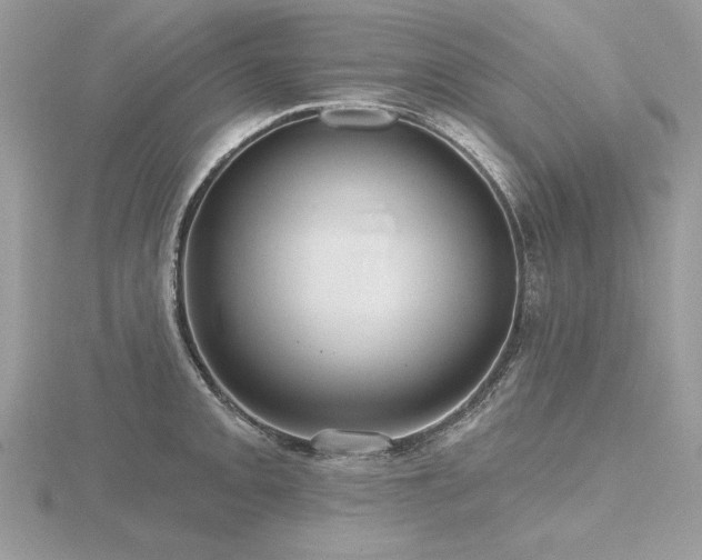 X0000116571093200912101505