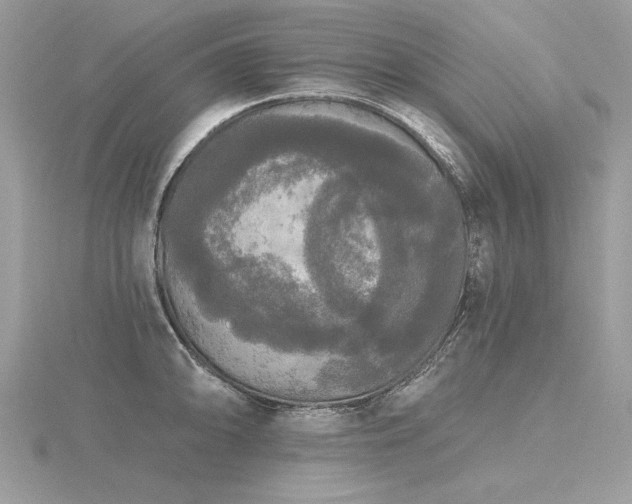 X0000116571094200912101505