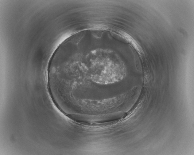 X0000116571095200912101505