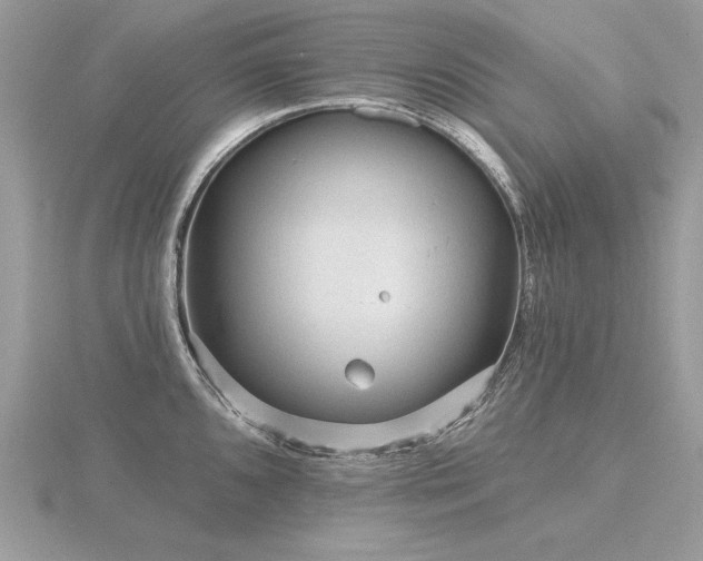 X0000116571096200912101505