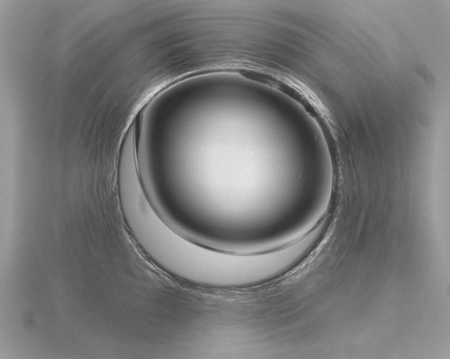 X0000116571097200912101505