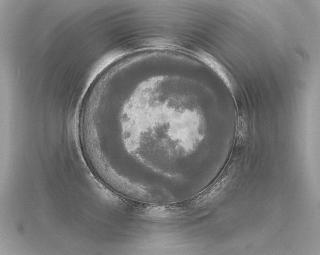 X0000116571098200912101505