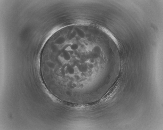 X0000116571099200912101505