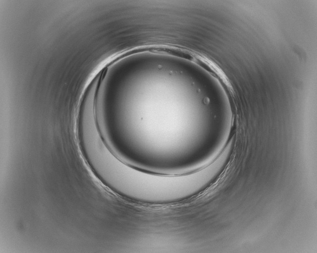 X0000116571101200912101505