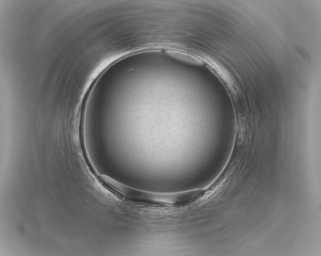 X0000116571102200912101505