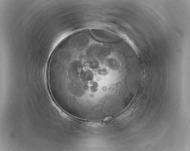 X0000116571103200912101505