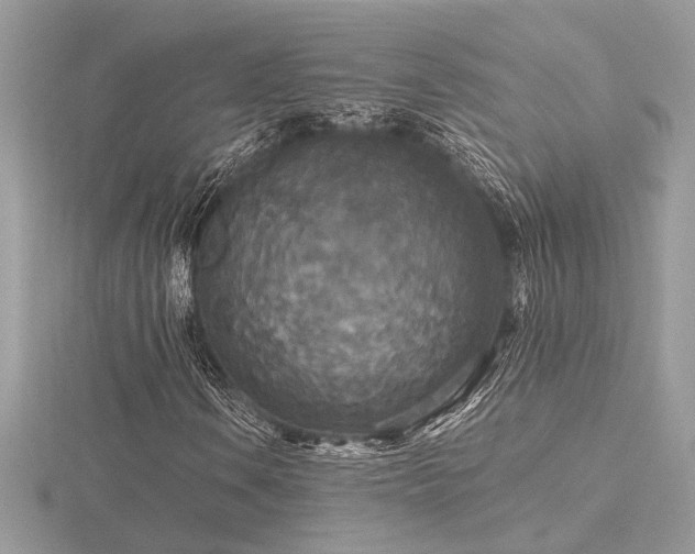 X0000116571106200912101504