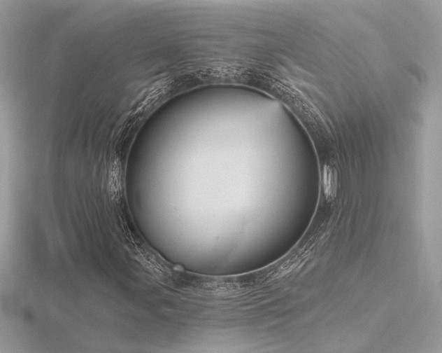 X0000116571107200912101504