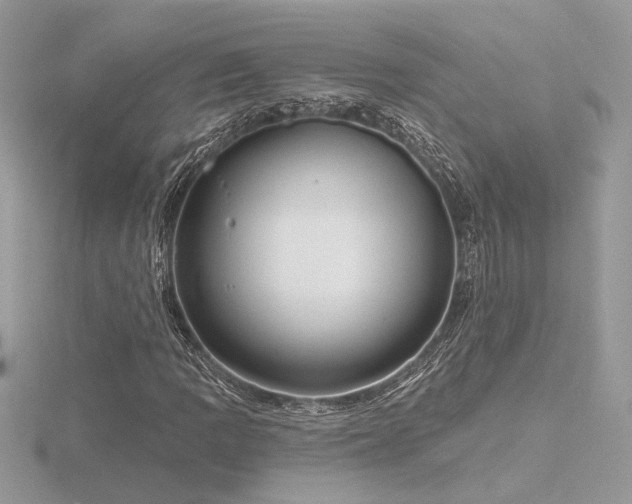 X0000116571109200912101505