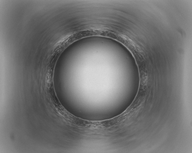 X0000116571110200912101505