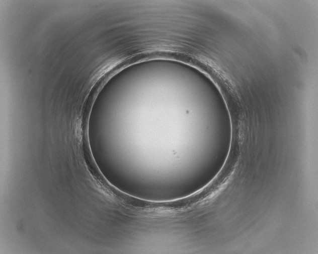 X0000116571113200912101505