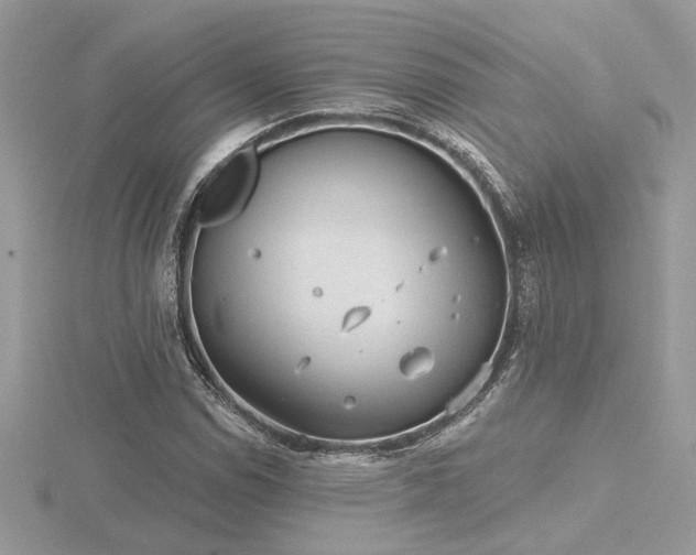 X0000116571114200912101505