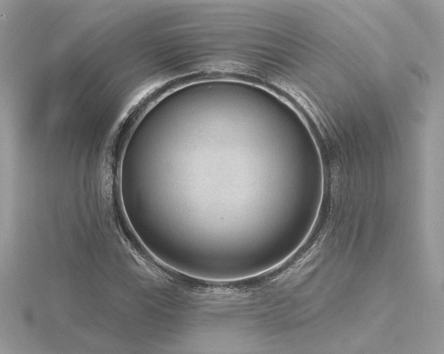 X0000116571115200912101505