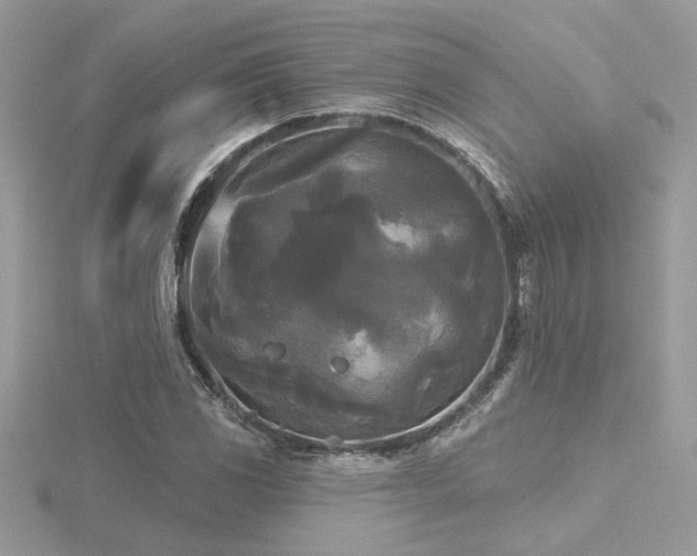 X0000116571117200912101505