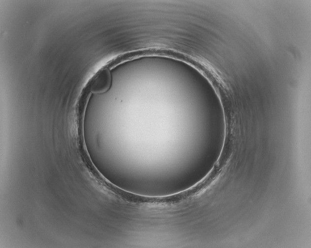 X0000116571118200912101505