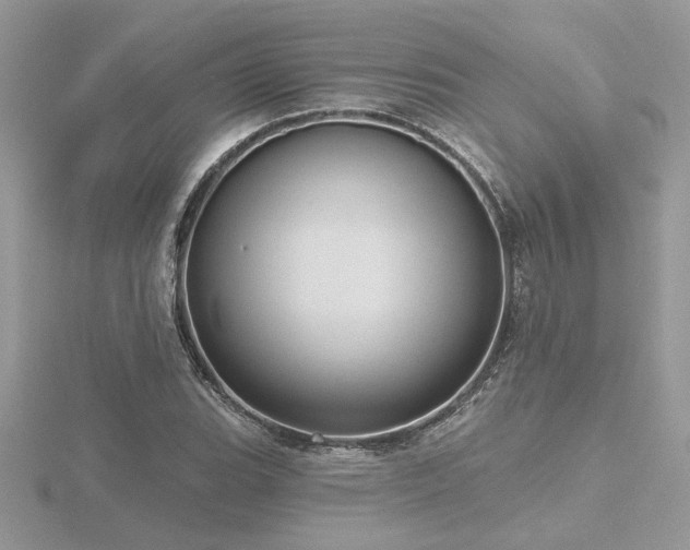 X0000116571119200912101505