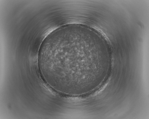 X0000116571121200912101505