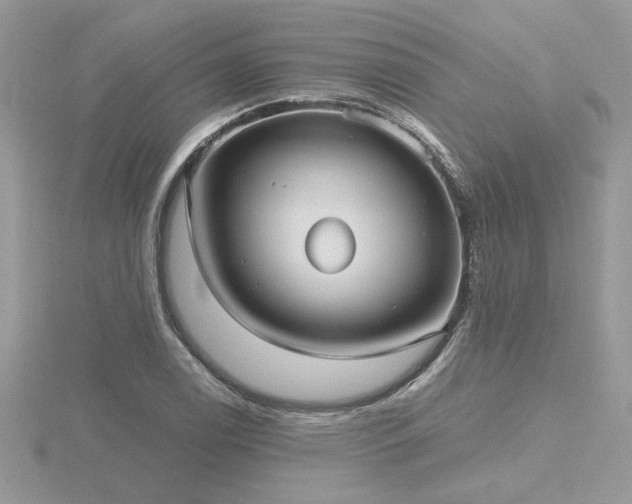 X0000116571122200912101505