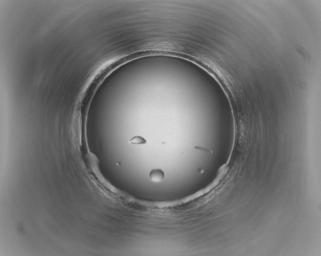 X0000116571123200912101505