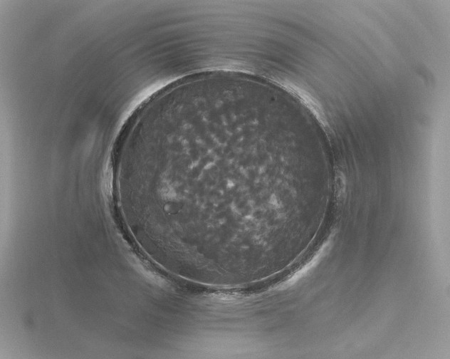 X0000116571125200912101505