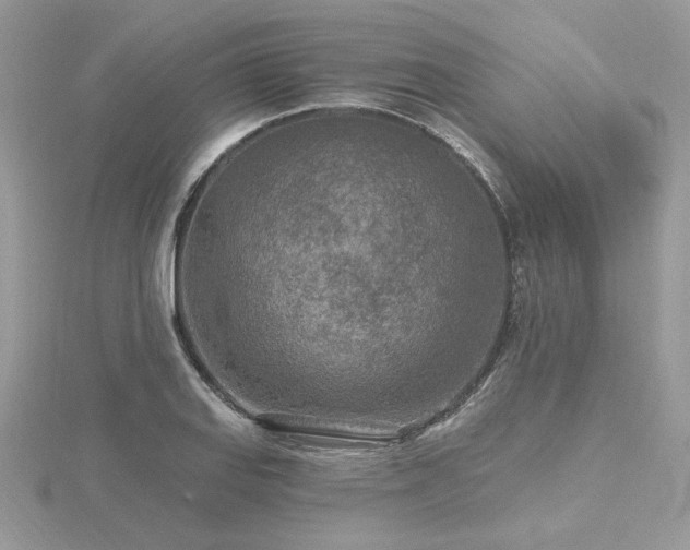 X0000116571127200912101505