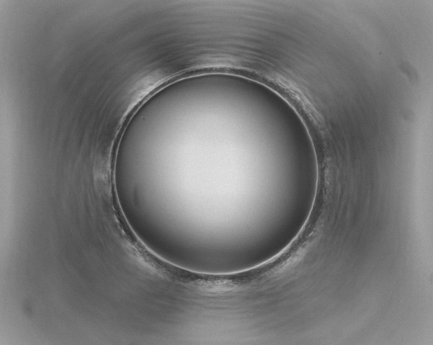 X0000116571129200912101505