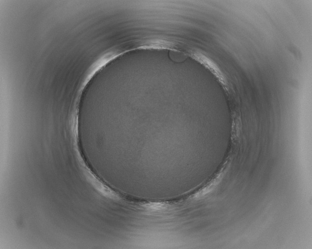 X0000116571130200912101505