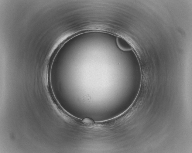 X0000116571131200912101505