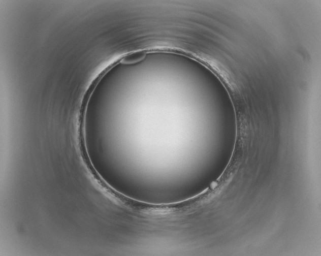 X0000116571134200912101505