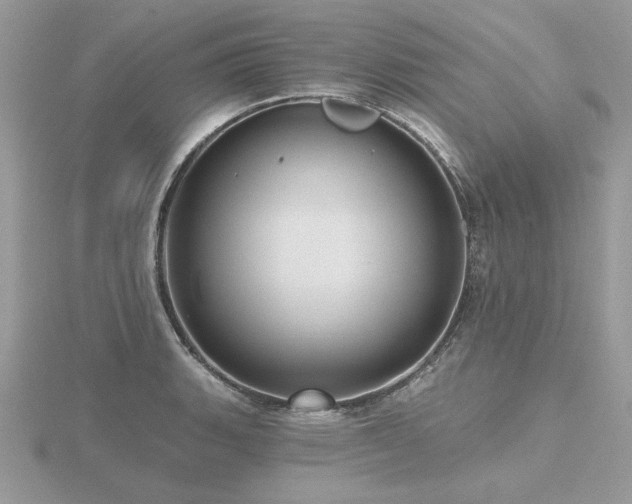 X0000116571135200912101505