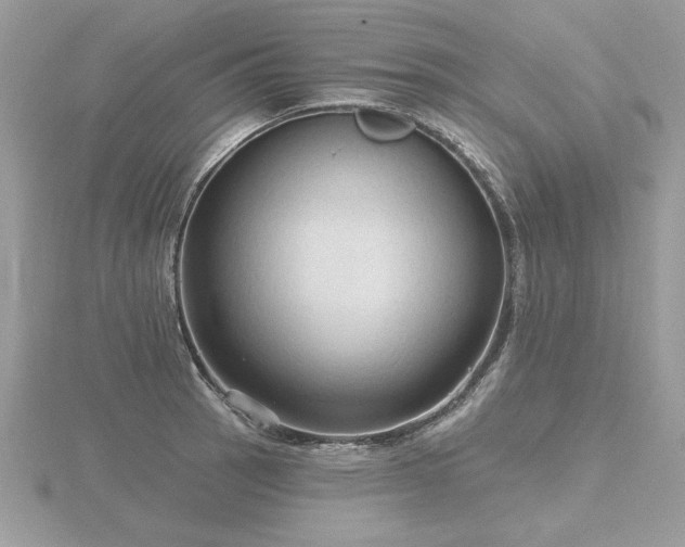 X0000116571137200912101505