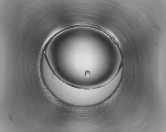 X0000116571138200912101505