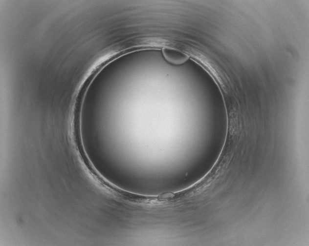 X0000116571139200912101505