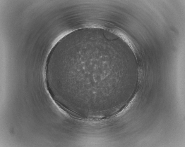 X0000116571141200912101505