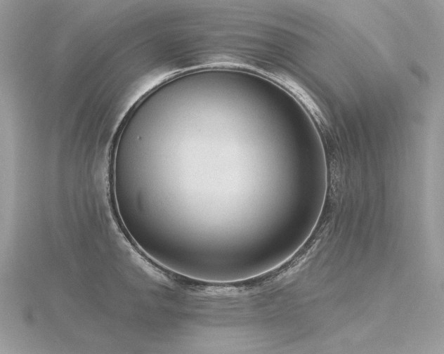 X0000116571142200912101505