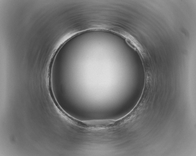 X0000116571143200912101505