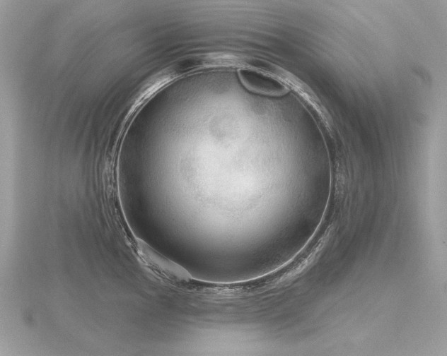 X0000116571145200912101505