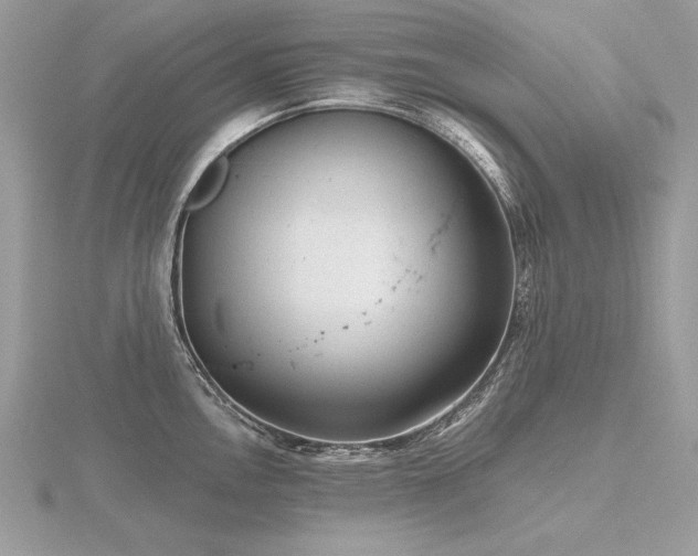 X0000116571146200912101505