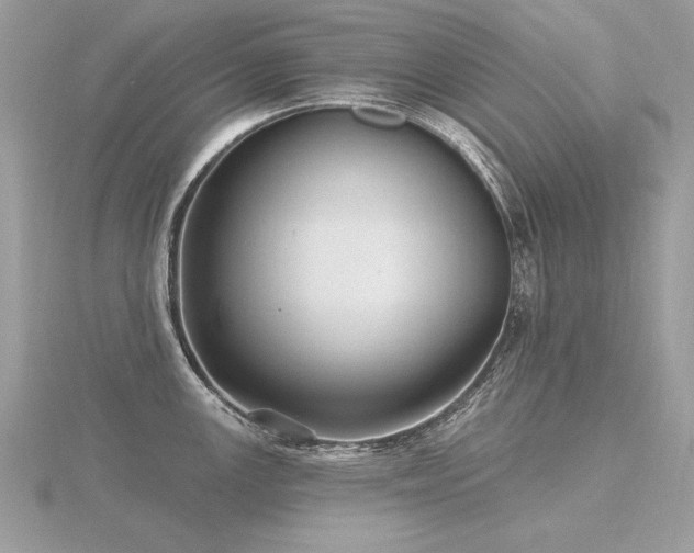 X0000116571147200912101505