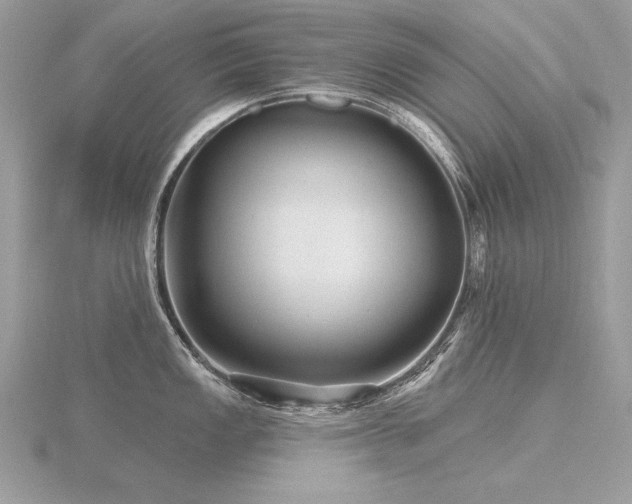 X0000116571149200912101505