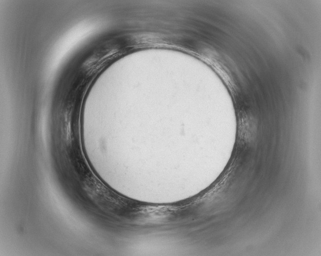 X0000116571150200912101505