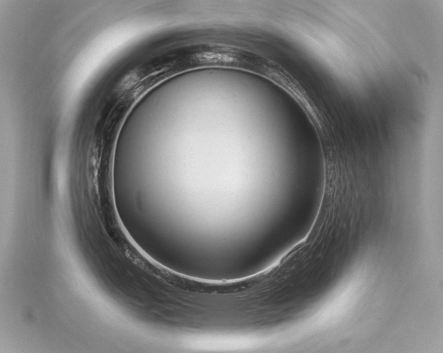 X0000116571151200912101505