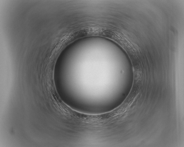 X0000116571153200912101504