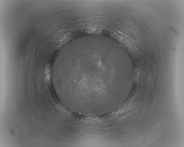 X0000116571154200912101504