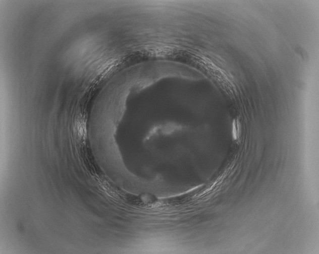 X0000116571155200912101504