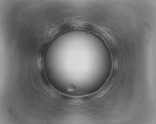 X0000116571156200912101504