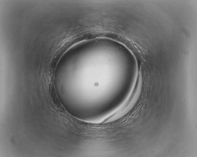 X0000116571157200912101504