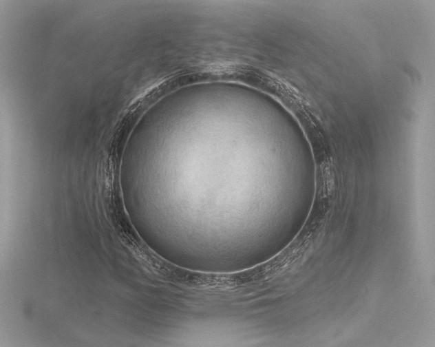 X0000116571158200912101504