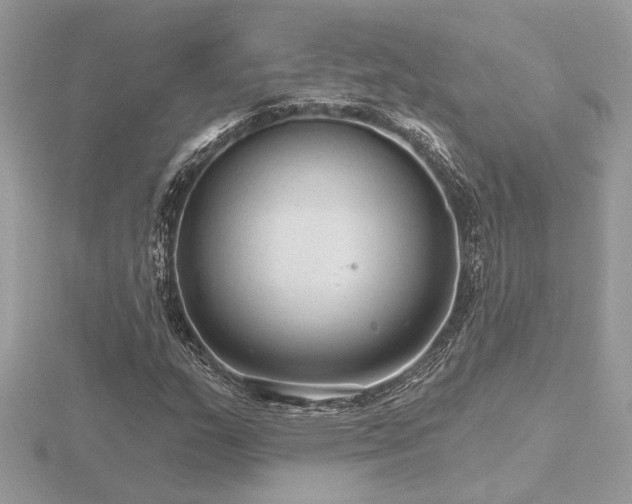 X0000116571159200912101504