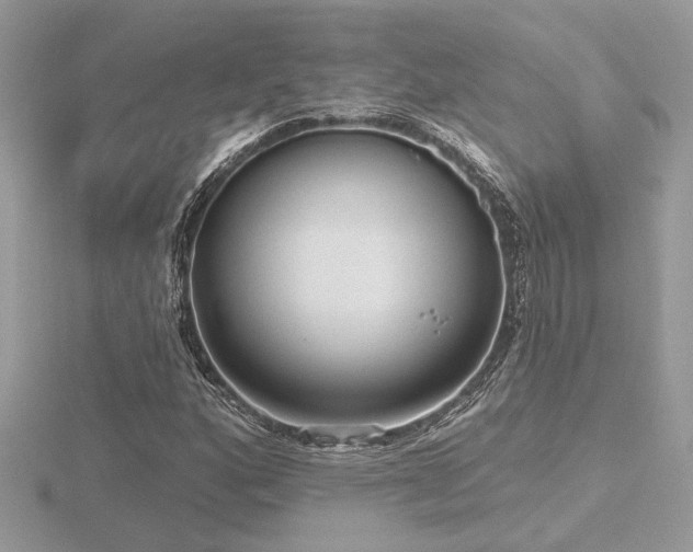 X0000116571160200912101504